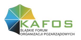 Wybory uzupełniające do Zarządu KAFOS